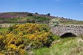 Bridge under the Spelga Road, Co. Down